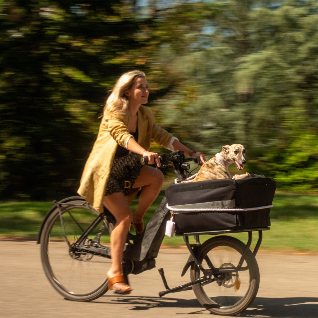 Les vélos électrique d'occasion ULTIMA